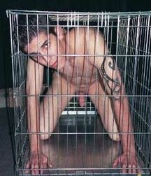 Caged 2 5b1aa63442ea5.jpg