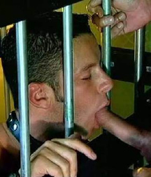 Caged 2 5b1aa634e87f3.jpg