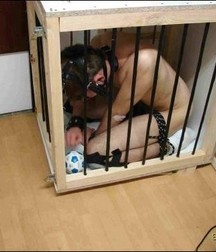 Caged 2 5b1aa63f46481.jpg