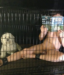 Caged 2 5b1aa65a11325.jpg