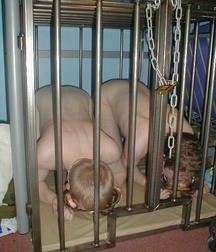 Caged 2 5b1aa65b9902a.jpg