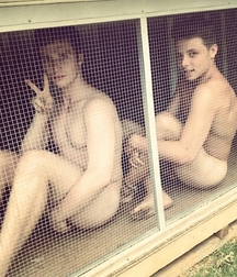 Caged 2 5b1aa6600f640.jpg