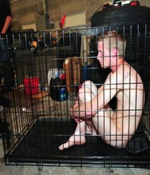 Caged 3 5b1aa693c7173.jpg