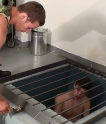 Caged 3 5b1aa697b3510.jpg