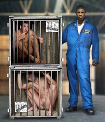 Caged 3 5b1aa6995e4b9.jpg