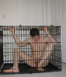 Caged 3 5b1aa6ad469ab.jpg