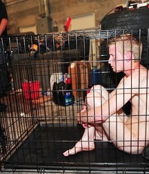 Caged 3 5b1aa6d90daa7.jpg