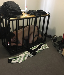 Caged 3 5b1aa6e613cca.jpg