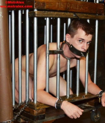 Caged 3 5b1aa717ac83e.jpg