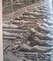 Vintage Nudists 2 5b1c1b6d730b6.jpg