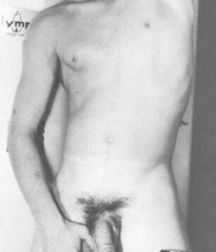 Vintage Solo 2 5b2203f4574a0.jpg