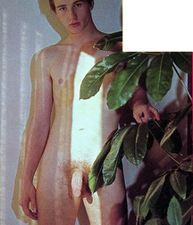 Vintage Solo 2 5b2204b01eb93.jpg
