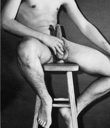 Vintage Solo 2 5b2204ca73964.jpg