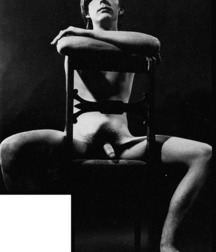 Vintage Solo 3 5b22057010bd6.jpg