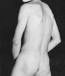 Vintage Solo 3 5b2205721f803.jpg