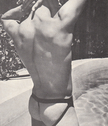 Vintage Solo 3 5b22059a3d7a5.jpg