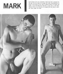 Vintage Solo 4 5b2269d29c69b.jpg