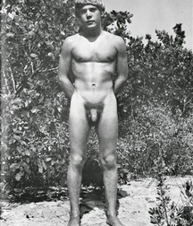 Vintage Solo 4 5b2269f4ec8f4.jpg