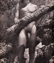 Vintage Solo 5 5b226aafdfe89.jpg