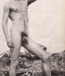 Vintage Solo 5 5b226b39aa0c4.jpg