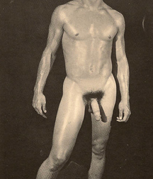 Vintage Solo 6 5b226c5c77e96.jpg