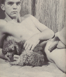 Vintage Solo 6 5b226c6247890.jpg