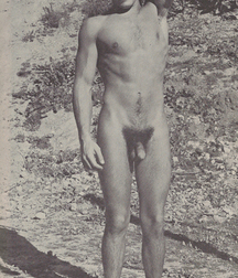 Vintage Solo 6 5b226c6e7a9bf.jpg