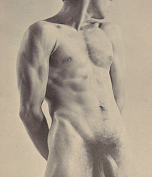 Vintage Solo 6 5b226c70b3ad7.jpg