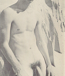 Vintage Solo 6 5b226c74ec6c8.jpg