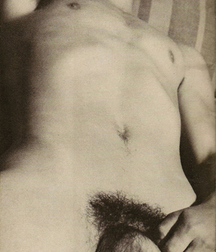 Vintage Solo 6 5b226c767773f.jpg