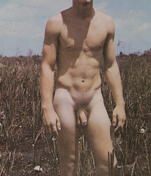 Vintage Solo 6 5b226c846c749.jpg
