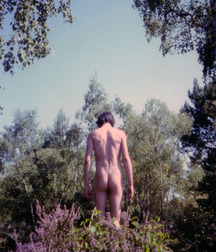Vintage Solo 6 5b226c85e11ea.jpg