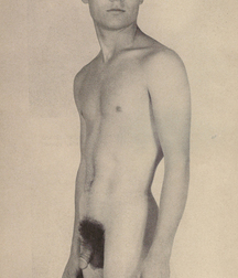 Vintage Solo 7 5b22799e68d46.jpg