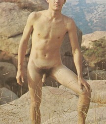 Vintage Solo 7 5b2279a9b6770.jpg