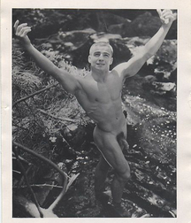 Vintage Solo 7 5b2279b978e29.jpg