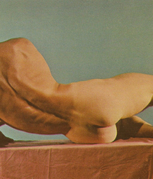 Vintage Solo 7 5b2279bc14beb.jpg