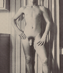 Vintage Solo 7 5b2279f0ad859.jpg