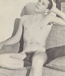 Vintage Solo 7 5b227a12ad992.jpg