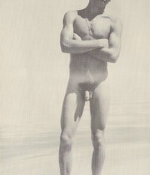 Vintage Solo 7 5b227a27174b9.jpg