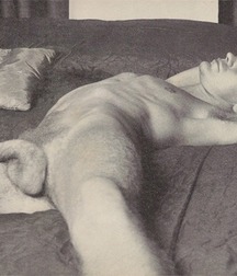 Vintage Solo 7 5b227a2d53a46.jpg