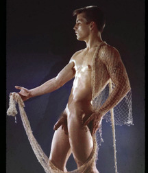 Vintage Solo 8 5b227b28389b6.jpg