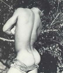Vintage Solo 8 5b227b7f202b6.jpg