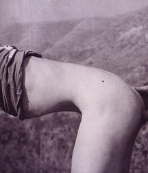 Vintage Couples 17 5b563a2f5d7ee.jpg