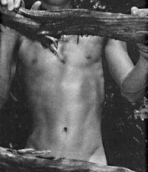 Sean Patrick 5b569d60d9be5.jpg
