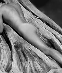 cheeks 5 5b5b5a85e176e.jpg