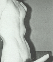 Vintage Hard 1 5dd54c685416d.jpg