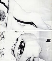 Vintage Screwing 5dd5f44e96532.jpg