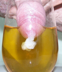 Food & Drinks 5dd797942c94c.jpg