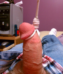 Cocks 5df41931b6e4a.jpg
