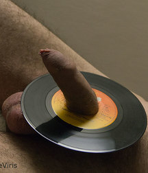 Cocks 5df4193d197c7.jpg